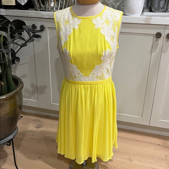 Ted Baker Vember Yellow and White Lace Mini Dress - Picture 3 of 14
